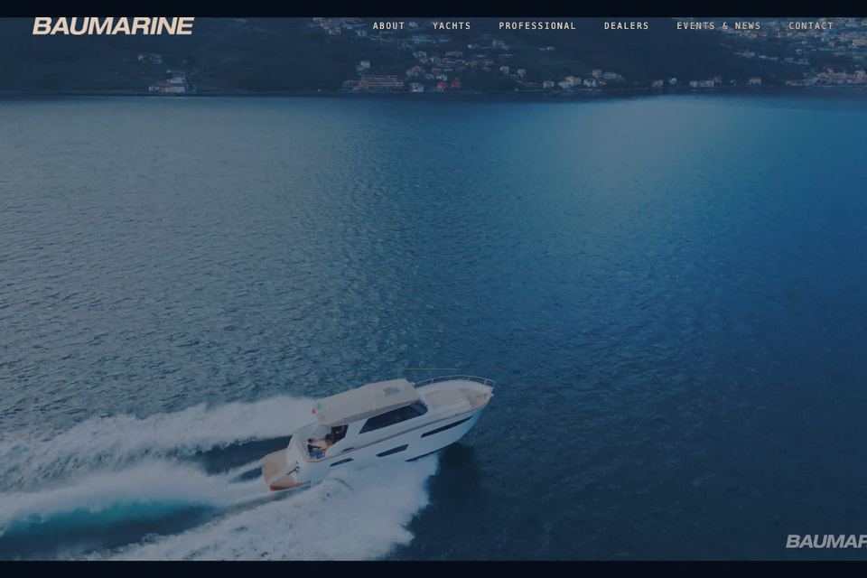 Anteprima del sito Baumarine